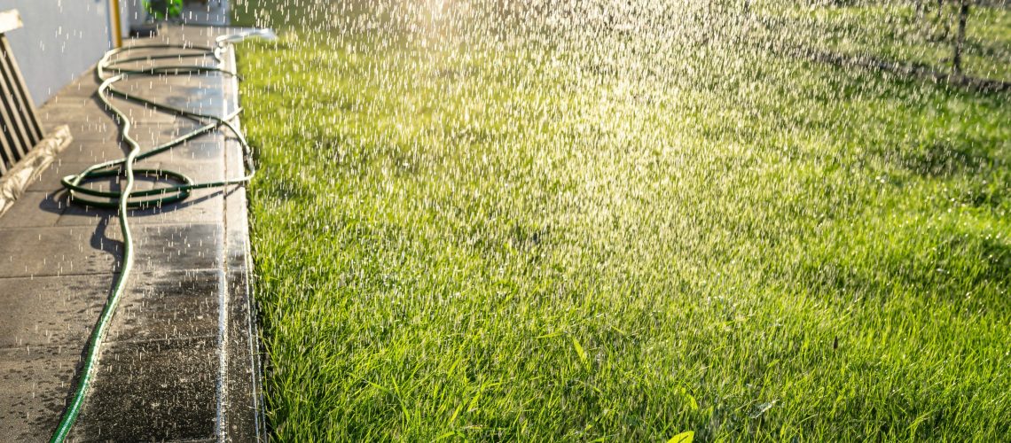 rainwater